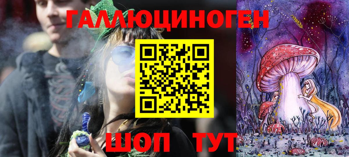 Звенигород  Псилоцибиновые грибы GOLDEN TEACHER  Вход с VPN 