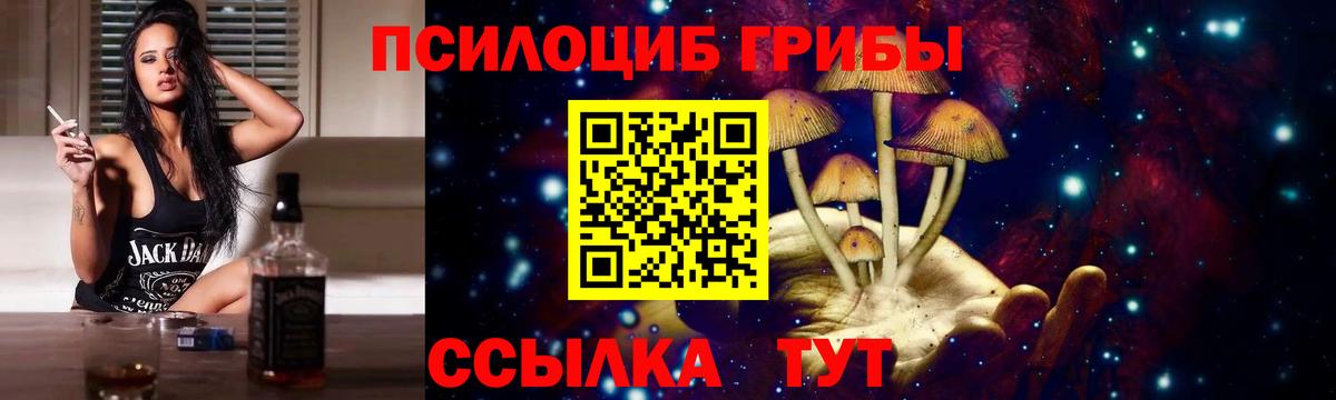 Галлюциногенные грибы Psilocybine cubensis Звенигород